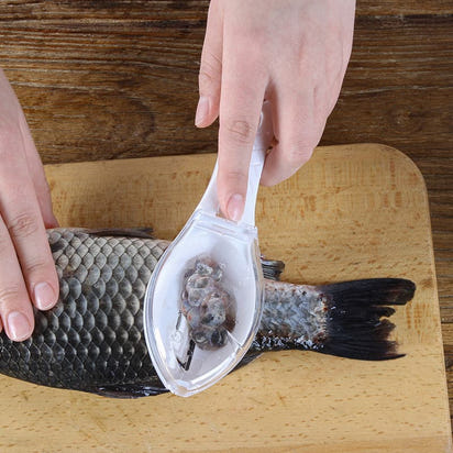 Fish Skin Scraping Brush.