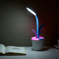 Modern Desk Lights USB