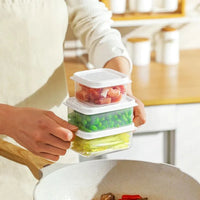 Mini Portable  Refrigerator Food Storage Box