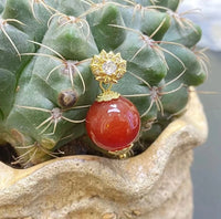 Red Agate Round Bead Pendant