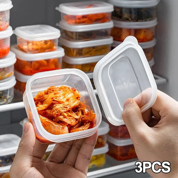 Mini Portable  Refrigerator Food Storage Box