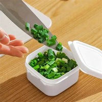 Mini Portable  Refrigerator Food Storage Box