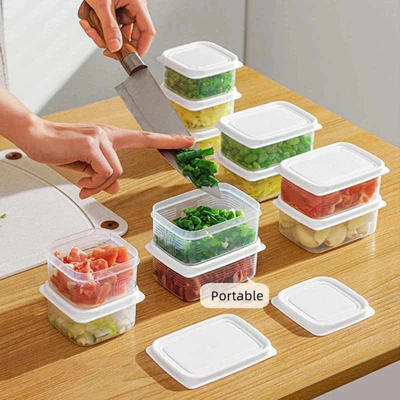Mini Portable  Refrigerator Food Storage Box