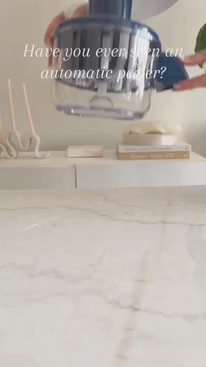 Electric Peeling Machine – Automatic Fast Fruit Peeler video